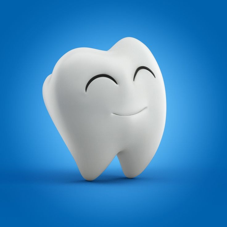 WhatsApp Image 2024-12-08 at 9.12.33 AM (3)